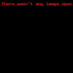 Best of Sensei 2014_1