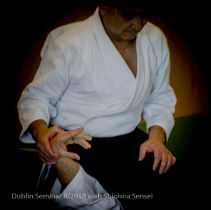 Trivalley Aikido : 2018_3