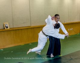 Trivalley Aikido : 2018_6